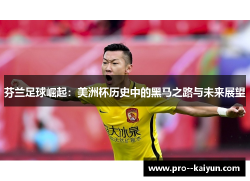 芬兰足球崛起:美洲杯历史中的黑马之路与未来展望 芬兰足球崛起:美洲杯历史中的黑马之路与未来展望