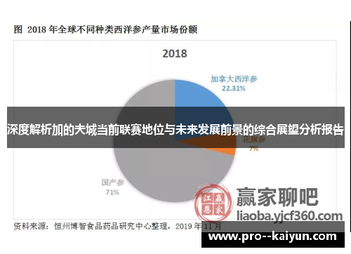 深度解析加的夫城当前联赛地位与未来发展前景的综合展望分析报告