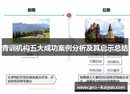 青训机构五大成功案例分析及其启示总结 青训机构五大成功案例分析及其启示总结