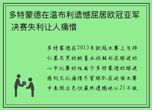 多特蒙德在温布利遗憾屈居欧冠亚军 决赛失利让人痛惜 多特蒙德在温布利遗憾屈居欧冠亚军 决赛失利让人痛惜