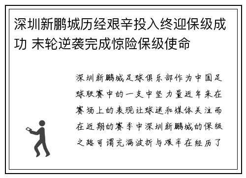 深圳新鹏城历经艰辛投入终迎保级成功 末轮逆袭完成惊险保级使命