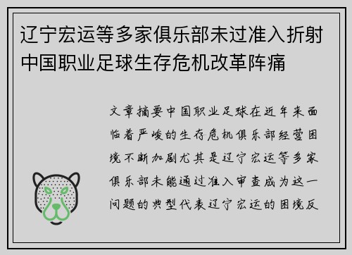 辽宁宏运等多家俱乐部未过准入折射中国职业足球生存危机改革阵痛